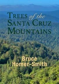 Trees of the Santa Cruz Mountains