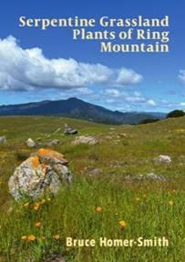 Serpentine Grassland Plants of Ring Mountain